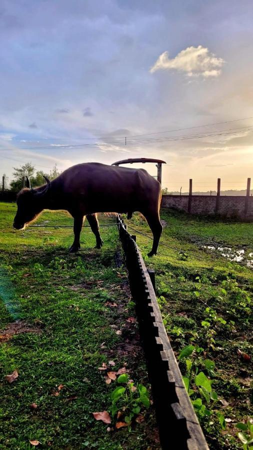 Pousada Marajoara- Hotel Fazenda-Turismo De Aventura Soure Exteriör bild