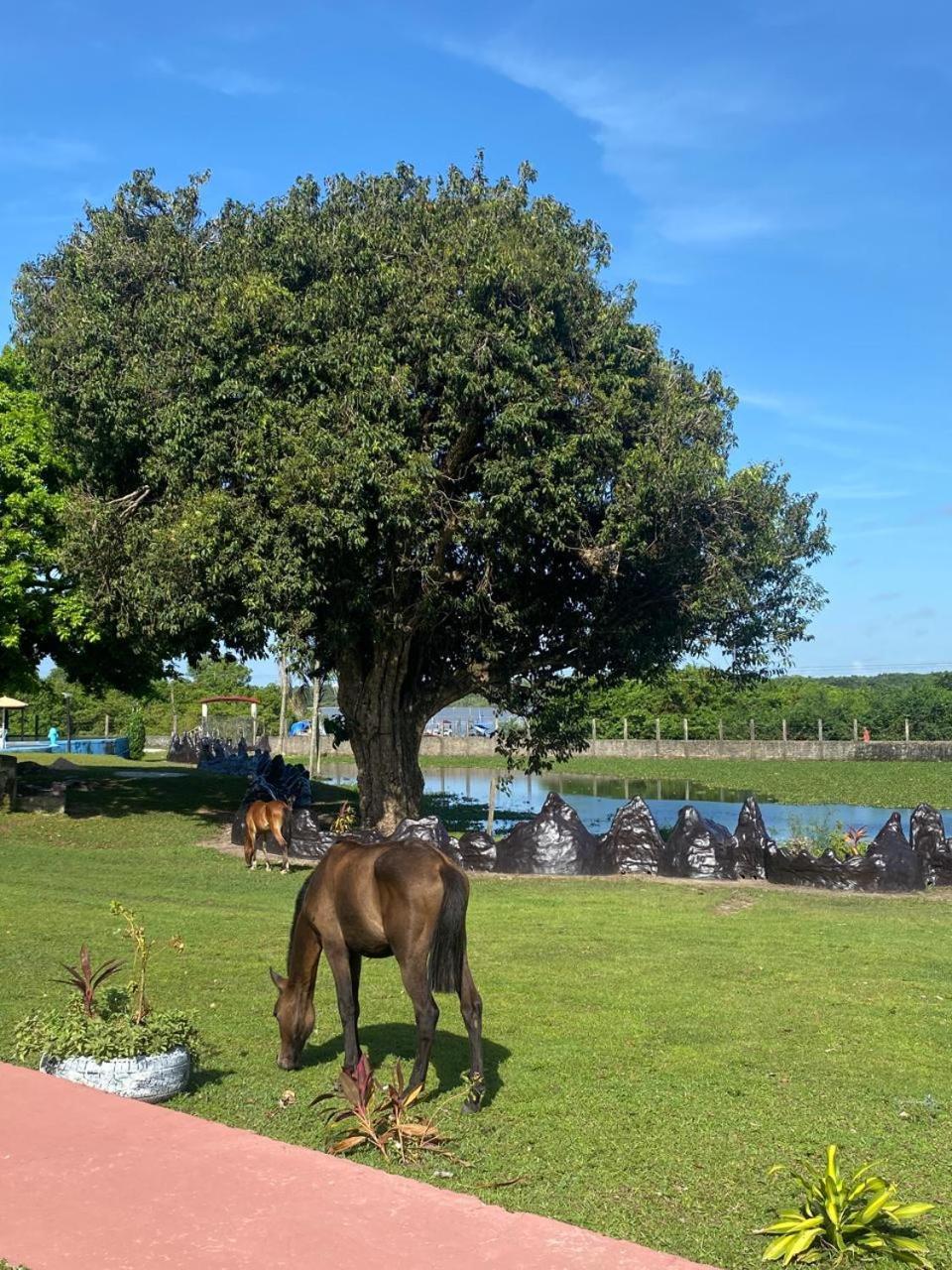 Pousada Marajoara- Hotel Fazenda-Turismo De Aventura Soure Exteriör bild