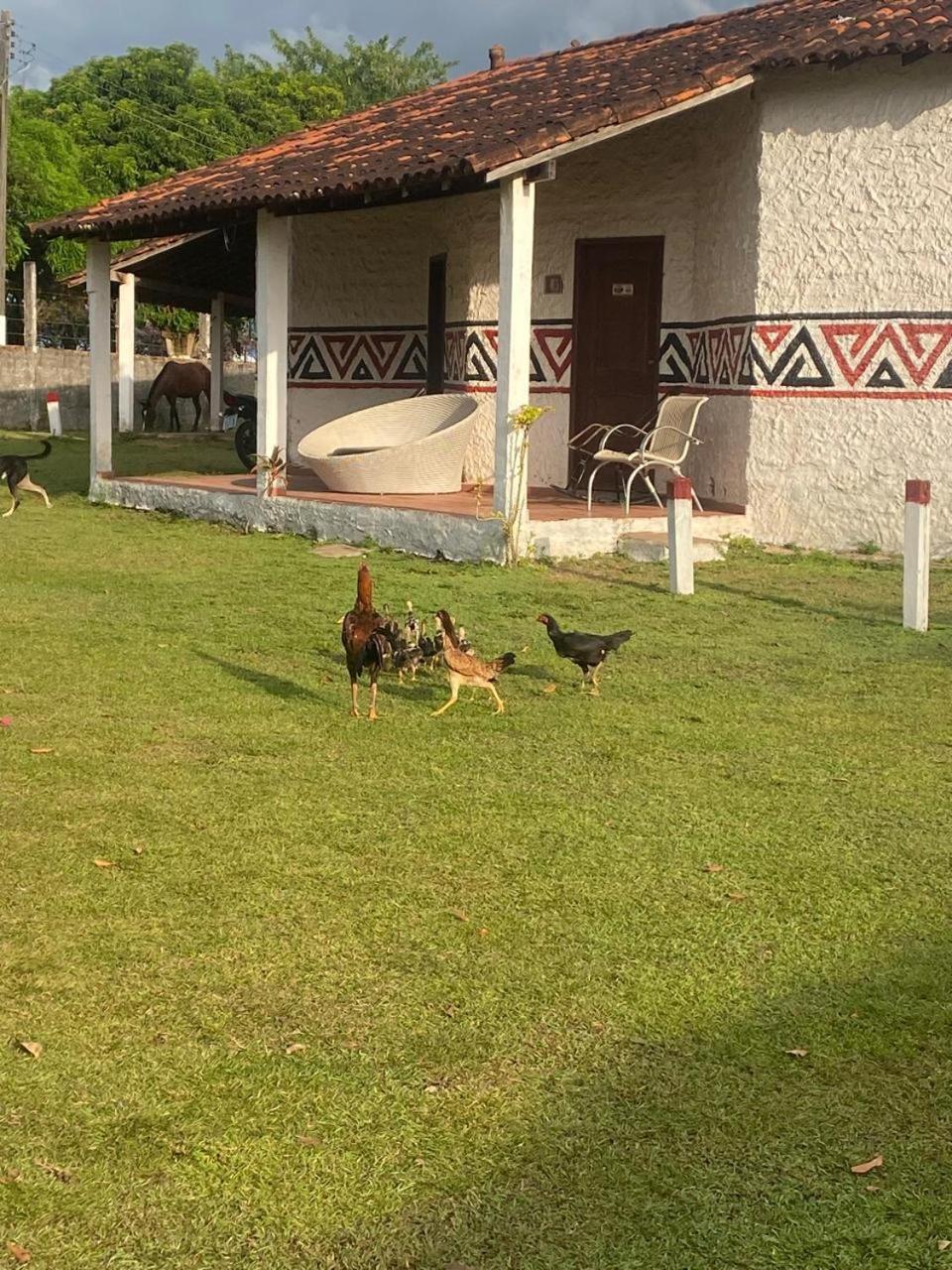 Pousada Marajoara- Hotel Fazenda-Turismo De Aventura Soure Exteriör bild